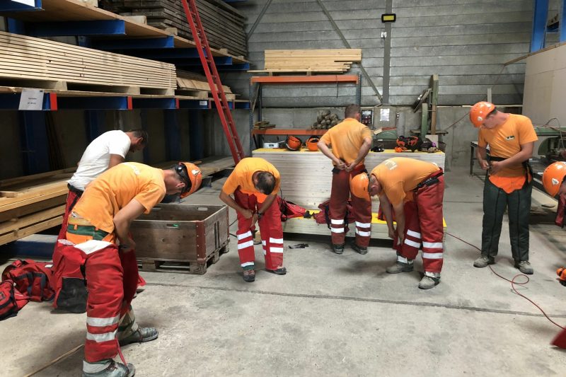 Impressionen Motorsägen Kurse